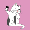 Cat Snaps Make Cat Selfies icon