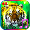 3D Animals Sounds & Wallpapers icon