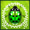 Catch the Bugs Alive icon