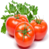 TomatoIFC icon