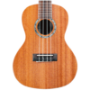 My Ukulele Solo & Chords icon