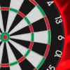 Darts Match Live! icon