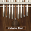 Kalimba Real icon