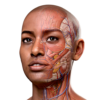 Complete Anatomy 2024 icon