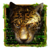 Leopard in Jungle Keyboard icon