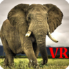 VR Elephants Google Cardboard Game icon