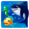 Aqua Fish icon