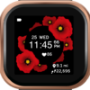 Watch faces for Fitbit Versa 2/Lite/1 icon