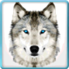 Ultimate Wild Wolf Simulator icon