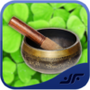 Ayurvedic Remedies icon