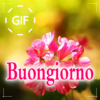 Italian Good Morning Good Day Gifs Images icon