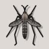 Mosquito Sound icon