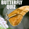 Quiz: What Butterfly Are You ? icon