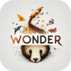 Wonder Walls icon