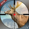 Deer Hunting 2019 – Jungle Hunter 3D icon