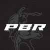 PBR icon