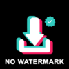 Video er for TikTok No Watermark icon