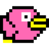 Pinky Bird icon