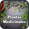 Medicinal Plants and Remedies icon