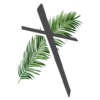 IDN Hosanna icon