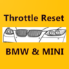 Throttle Reset for BMW and MINI icon