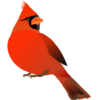 Woodland Alarm Clock icon