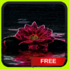 Neon Flowers Live Wallpaper icon