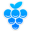 Grape® Messenger icon