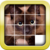 Slider Mania Animals Pro (Puzzles) icon