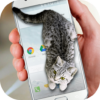 Cat Walks in Phone Cute Joke icon