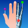 e-Anatomy icon