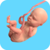 Virtual Pregnant Mother Game icon