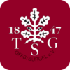 TSG Offenbach Bürgel icon