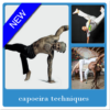 Capoeira Techniques icon