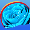 Blue Rose Live Wallpapers icon