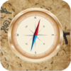 Magnetic compass app icon