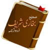 Sahih Bukhari: Urdu Hadith learning icon