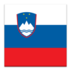 Beginner Slovenian icon