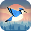 Bouncy Bird icon