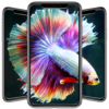 Betta Fish Wallpapers icon