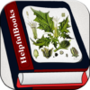 Herbal medicines plant icon