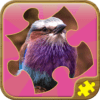 Best Jigsaw Puzzles icon