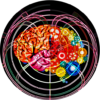 Memorize the Brain Game icon