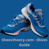 Shoestheory.com Shoes Guide icon