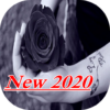 Black Rose Wallpaper 2020 icon