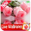 Pink Rose Live Wallpaper 2019 Pink Rose LWP icon