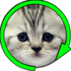 Kitten Spinner Prank icon