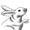 How to Draw Rabbits icon