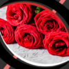 Live Wallpapers Roses icon