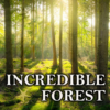 Incredible Forest Wallpapers, Sounds & Ringtones icon